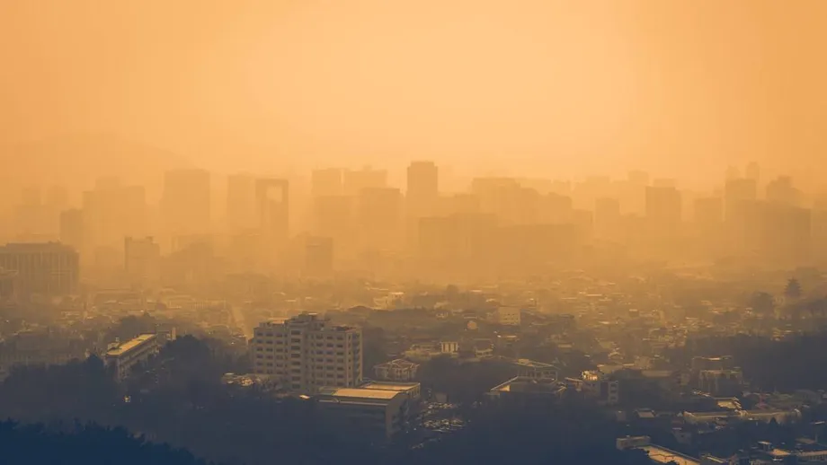 Ozone Pollution Costs Asia Billions of Dollars in Crop Losses: Study