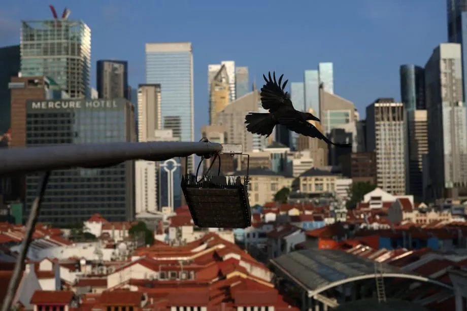 Singapore verzeichnet alarmierenden Anstieg der Suizide unter jungen Erwachsenen: Ursachen der Krise und mögliche Wege aus ihr