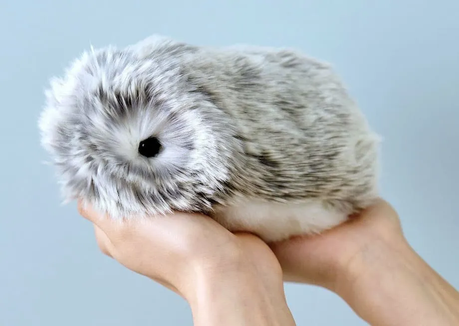 Moflin: Japans flauschiges KI-Roboterhaustier erobert mit einzigartigen Persönlichkeiten die Herzen