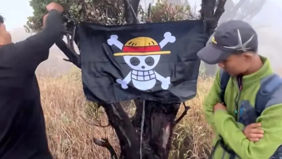 Wie die Piratenflagge aus One Piece in Indonesien zum Protestsymbol wurde