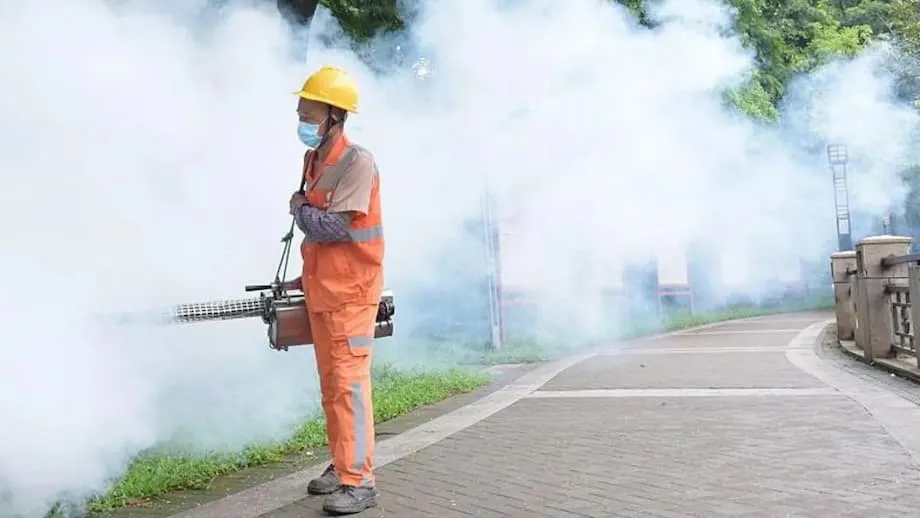 Chinas bislang größter Chikungunya-Ausbruch: Wie Guangdong gegen das von Mücken übertragene Virus vorgeht