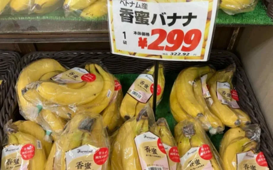 Vietnamesische Bananen gewinnen in Japan an Boden: Ein Wandel im asiatischen Bananenhandel