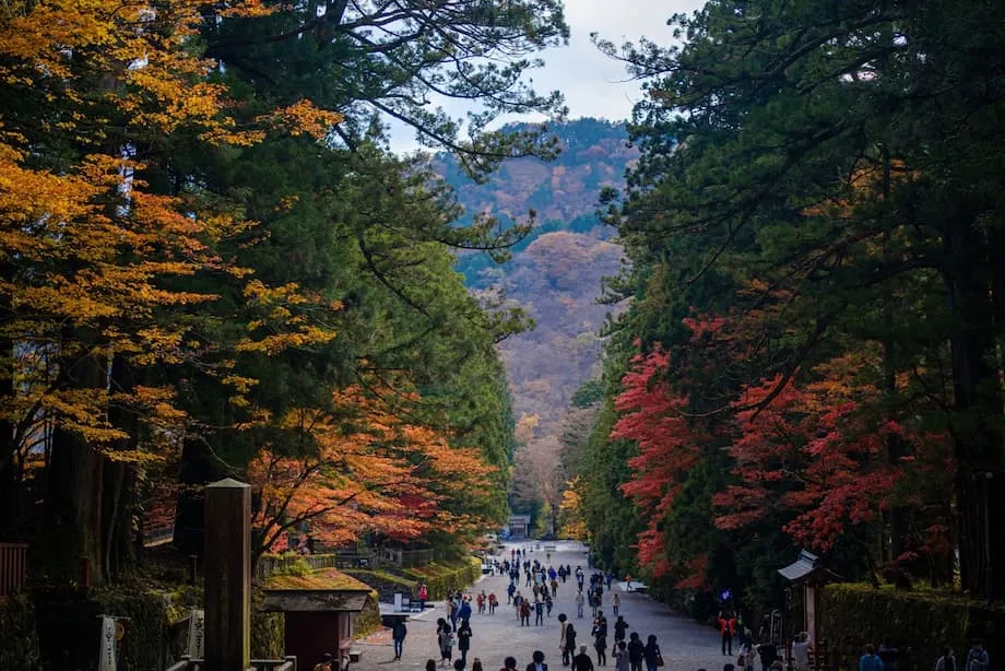 5 Orte in Japan, an denen sich die ersten Herbstfarben zeigen