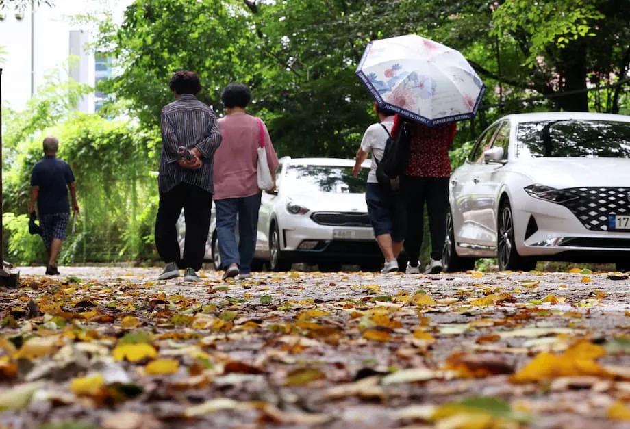 La-Niña-Watch für Südkorea: Zunächst mehr Regen, später mögliche frühe Kälteeinbrüche