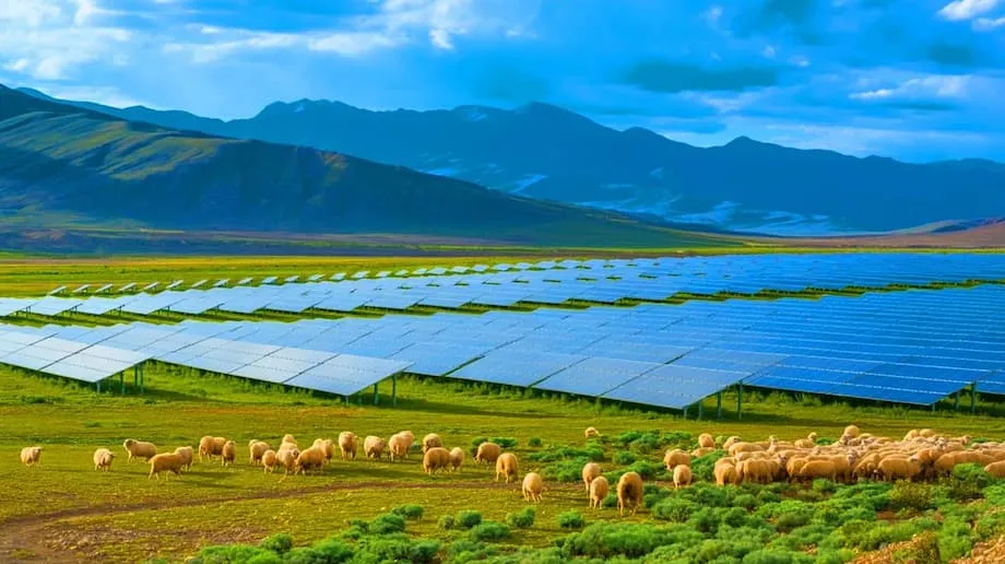 Chinas riesiger Solarpark belebt das Ökosystem und versorgt Millionen Menschen mit Strom