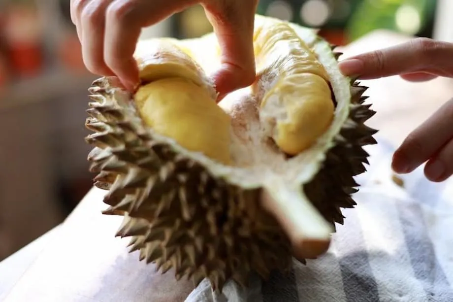 Von kaiserlichen Litschi-Kurierdiensten zum modernen Durian-Express: China treibt die Versorgung einer wachsenden Fangemeinde voran