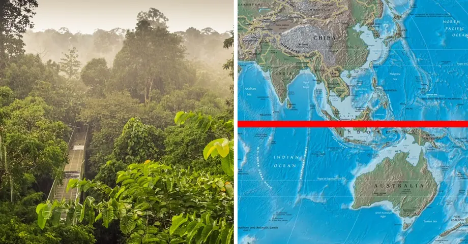 Warum Malaysias Regenwälder zu den ältesten Ökosystemen der Erde gehören