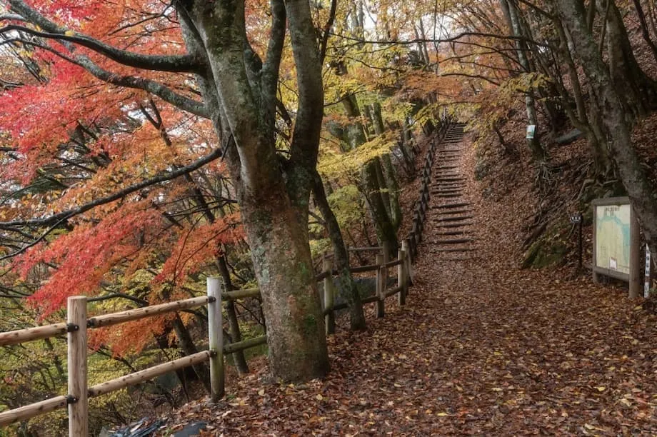 Kurzer Herbst, abrupter Wintereinbruch: Japan stellt sich auf plötzlichen Jahreszeitenwechsel ein