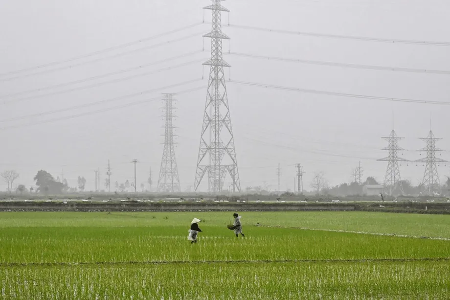 Vietnam geht Sicherheitslücken entlang der Lebensmittelkette an