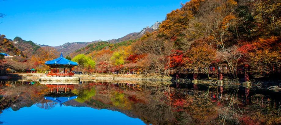Herbstlaub in Korea 2025: Höhepunkt, beste Orte und clevere Planung