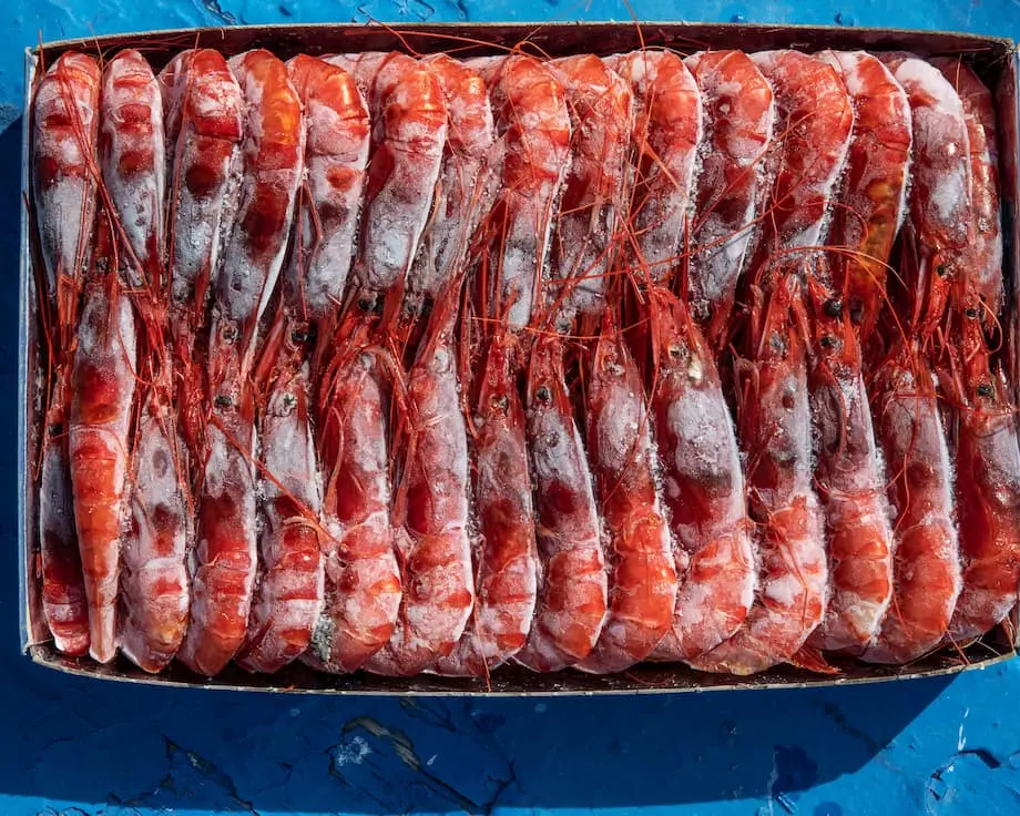 Radioaktivitätskrise um indonesische Garnelen auf Cäsiumkontamination in Industriegebiet zurückgeführt