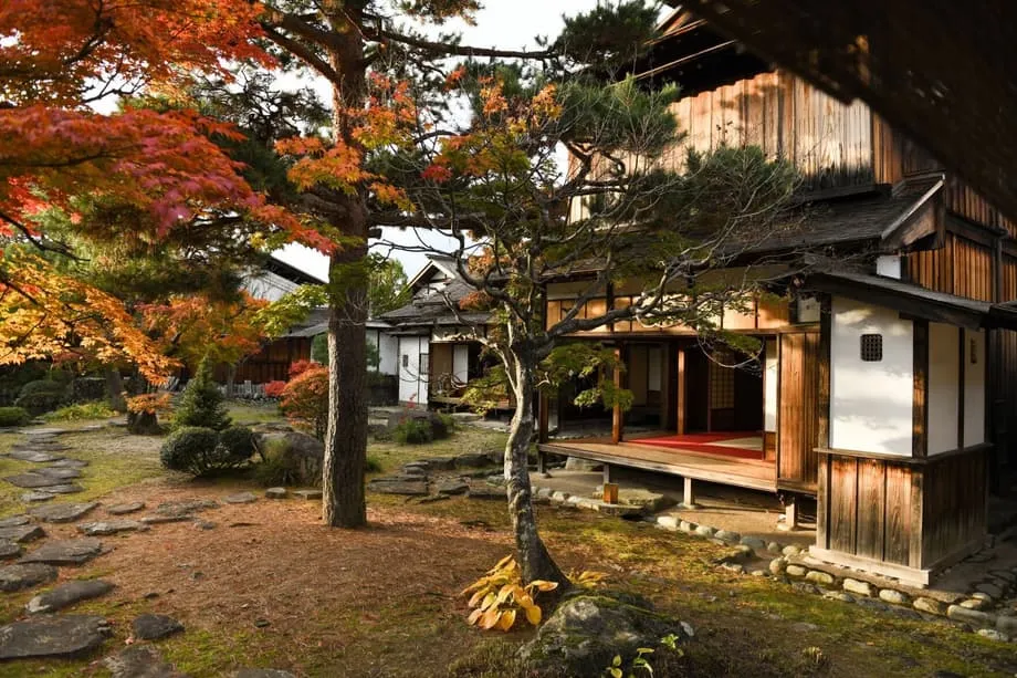 Drei Tage Momijigari: Japans leuchtende Herbstfärbung erleben