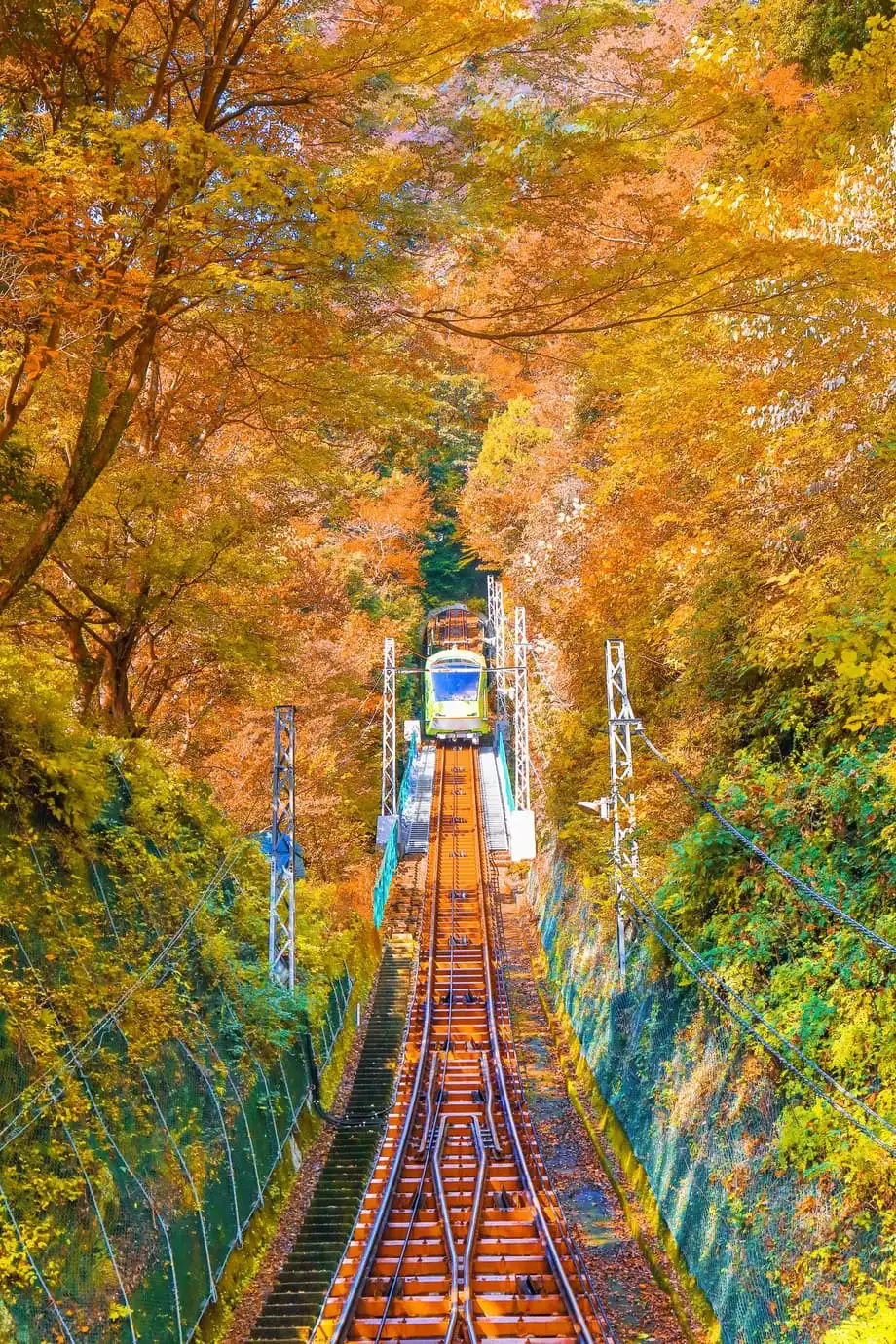 Japan im Herbst mit der Bahn: Die schönsten Zugfahrten zur Laubfärbung