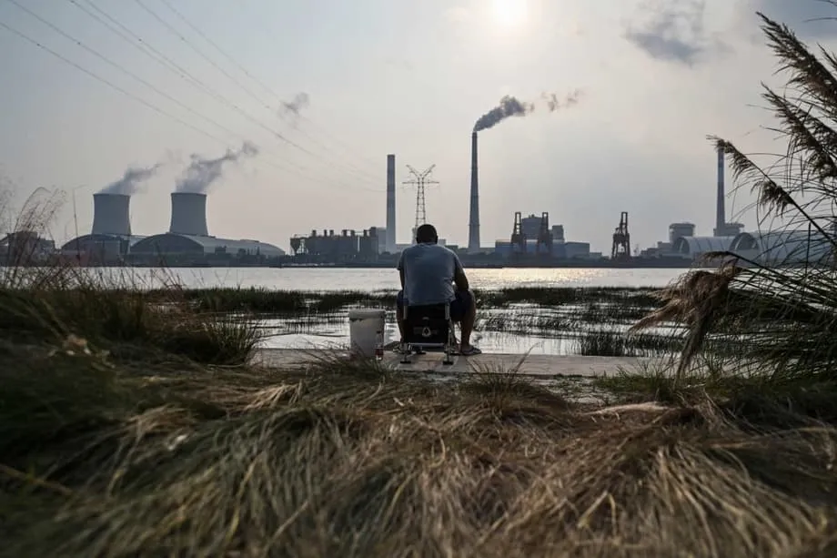 China hält Finanzierung für brasilianischen Waldfonds zurück und fordert bei COP30 eine Vorreiterrolle der Industrieländer