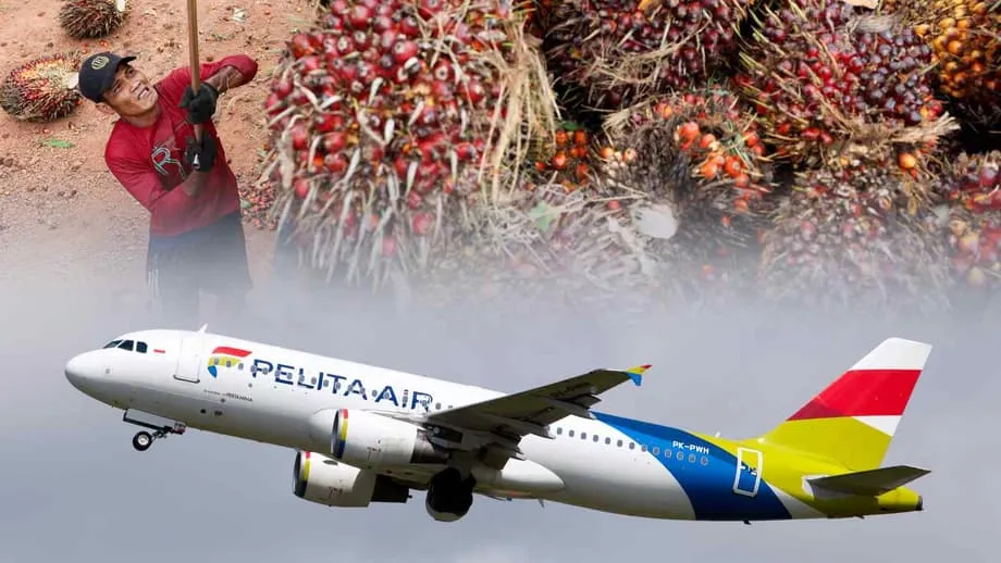 Indonesien will palmölbasierten Flugkraftstoff innerhalb von drei Jahren kommerzialisieren
