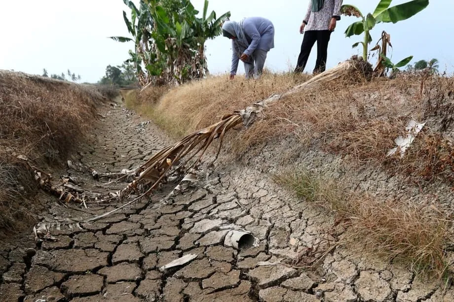 Johors Rechenzentrumsboom trifft auf Wasserknappheit