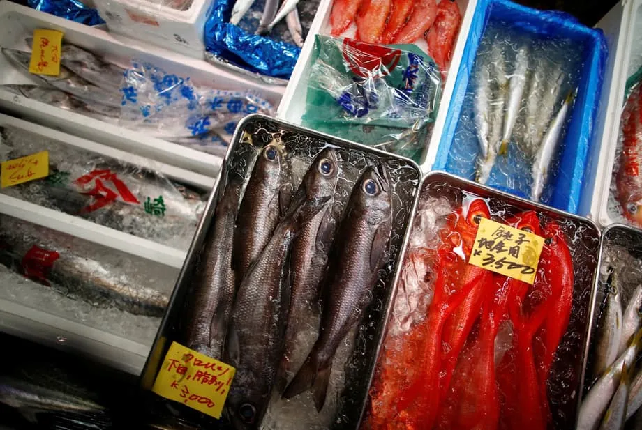Peking verhängt nach Äußerungen zur Verteidigung Taiwans erneut Importverbot für Meeresfrüchte und warnt Japan