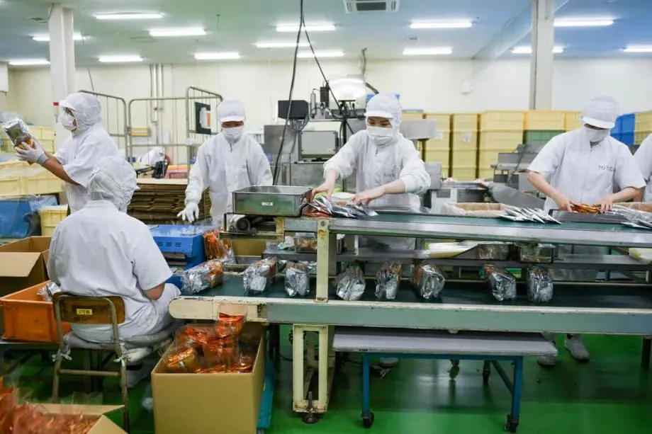 Zahl ausländischer Einwohner in zehn japanischen Präfekturen binnen eines Jahrzehnts verdoppelt