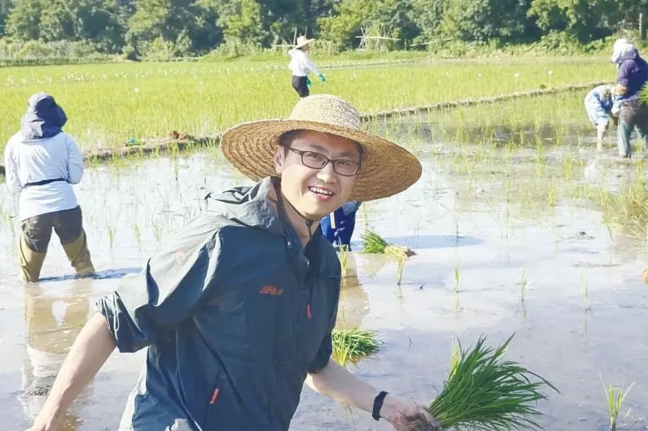 Chinas Durchbruch bei klonfähigem Hybridreis könnte die globale Ernährungssicherheit revolutionieren