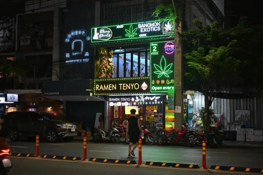 Thailands Cannabis-Experiment: Von wirtschaftlicher Hoffnung zu gesellschaftlicher Besorgnis