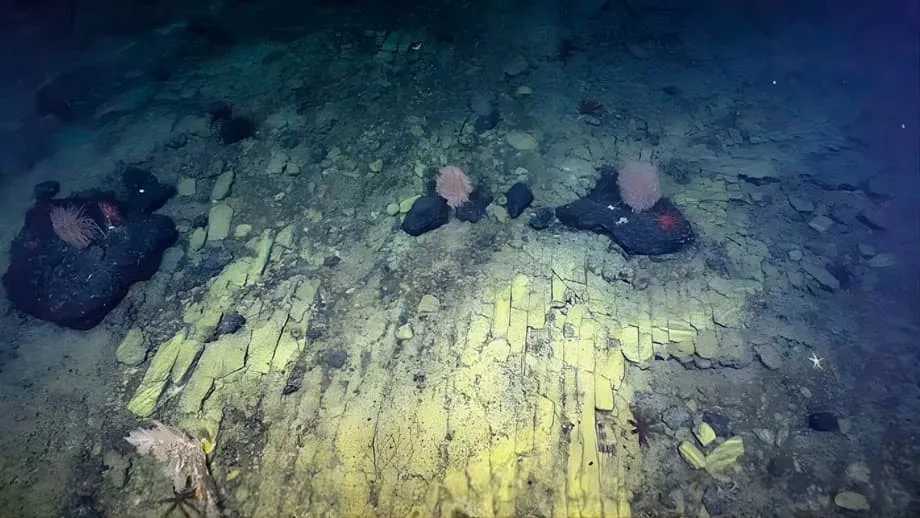 Gelber Ziegelsteinweg auf dem Pazifikgrund: Forscher entdecken vulkanisches Naturwunder