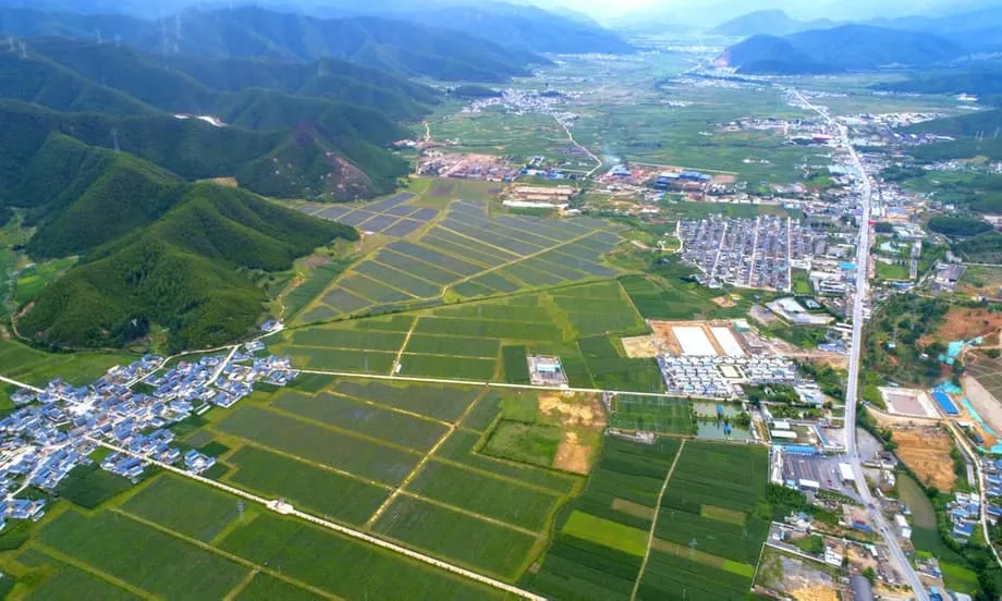 Chinas Blaubeerenrevolution: Wie die Provinz Yunnan einen Luxusimport in eine globale Exportmacht verwandelte
