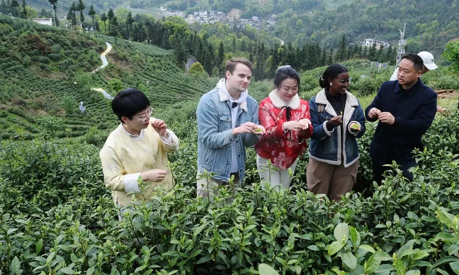 Ausländische Wissenschaftler entdecken neue Modernität in Chinas Regierungsmodellen