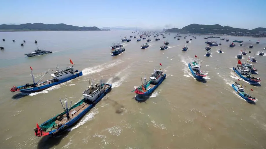 Einblick in die Grauzone: Wie China Fischereiflotten als maritime Waffen einsetzt