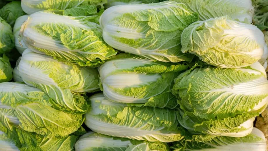 China untersucht illegale Behandlung von Kohl mit Formaldehyd, während die Sorgen um die Lebensmittelsicherheit in der Region wachsen