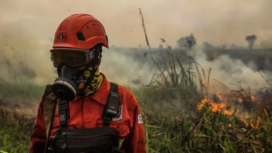 Giftiger Waldbrandrauch breitet sich mit zunehmendem Super-El Niño in Südostasien aus