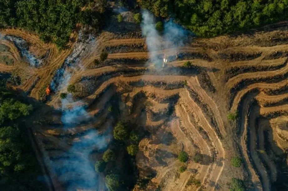 Ermittlungen zu Palmölbetrug in Indonesien bringen große europäische Energiekonzerne mit Falschdeklarierungen in Verbindung
