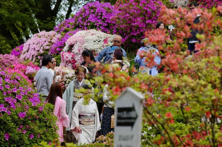 Japan verfolgt angesichts weltweiter Verbote einen Mittelweg bei der Altersverifizierung in sozialen Medien