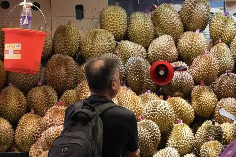 Durian-Express: Neue Bahnverbindung senkt Preise und Transportzeiten in China