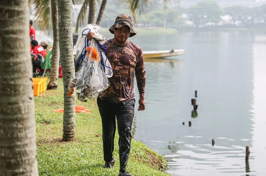 Alien Fish Make Up 95% of Ampang Hilir Lake Records as Malaysia Weighs Species Bans