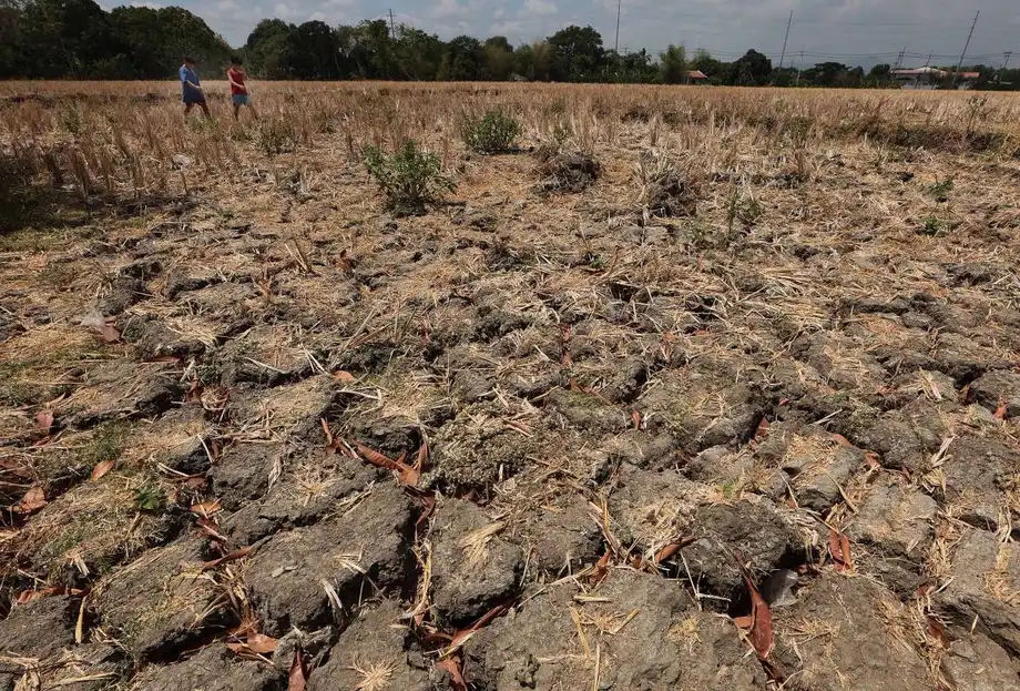 Gatchalian Seeks El Niño Plan as Philippine Farm Losses Reach P6.87 Billion