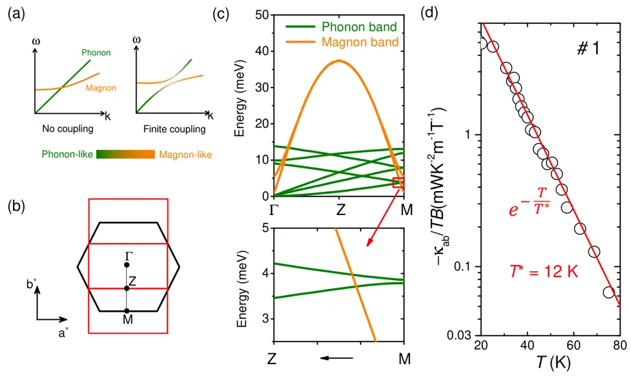 Five Crystals Reveal Why Heat Bends in a Magnetic Field