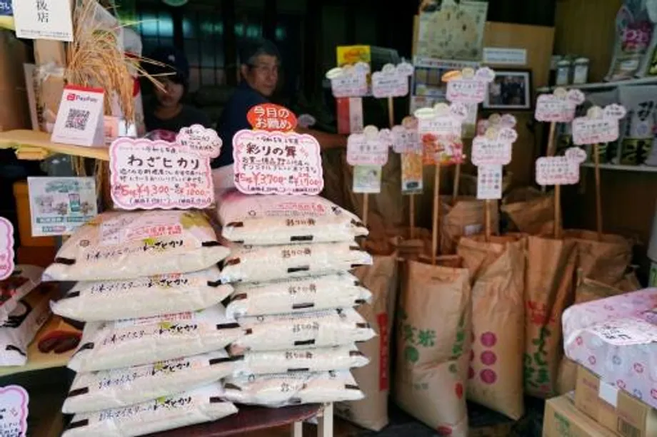 Japans Reispreisanstieg: Ursachen, Folgen und der Kampf um Ernährungssicherheit