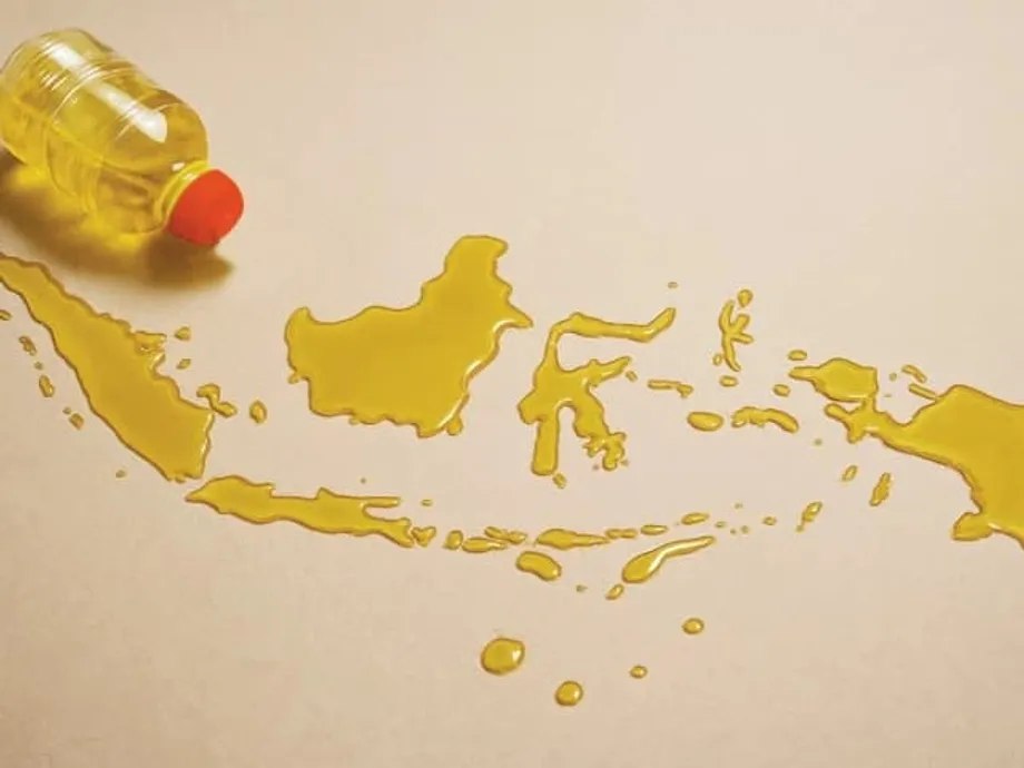 Wie indonesisches Palmöl Pakistans Ernährungssicherheit und Preisstabilität sichert